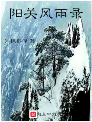 阳关风雨录