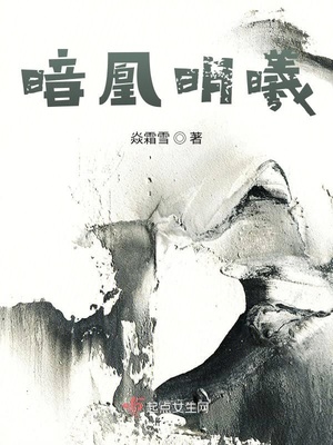 孤舟迷局小说