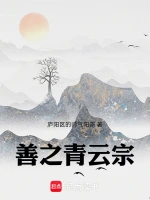 善之青云宗
